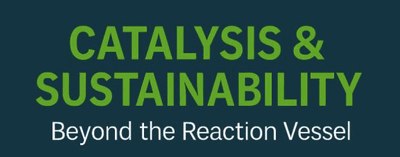 Catalysis and Sustainability: Beyond the Reaction Vessel